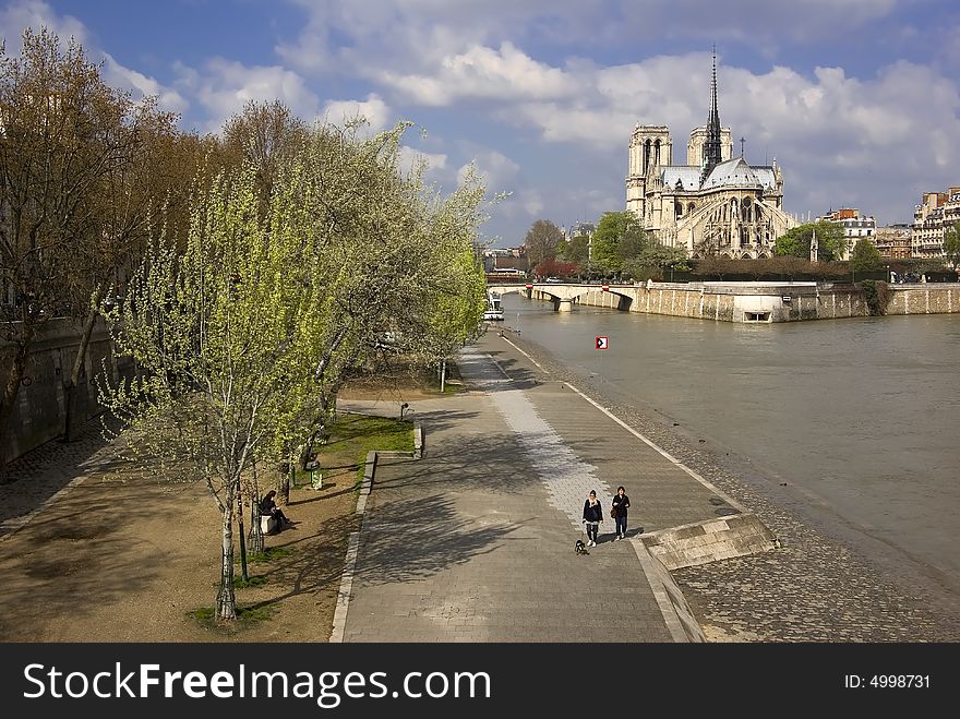 Notre Dame Cathedral and the Left Bank of the River Seine on a sunny Spring day. Notre Dame Cathedral and the Left Bank of the River Seine on a sunny Spring day.