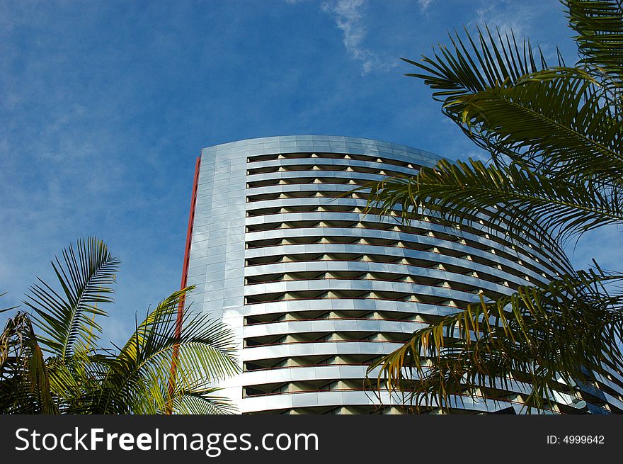 The reflection of the sky and clouds on a curved building framed by palm tree leaves. The reflection of the sky and clouds on a curved building framed by palm tree leaves.