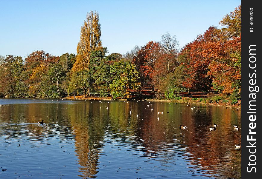 Winchmore Hill park in autumn, with lake. Winchmore Hill park in autumn, with lake
