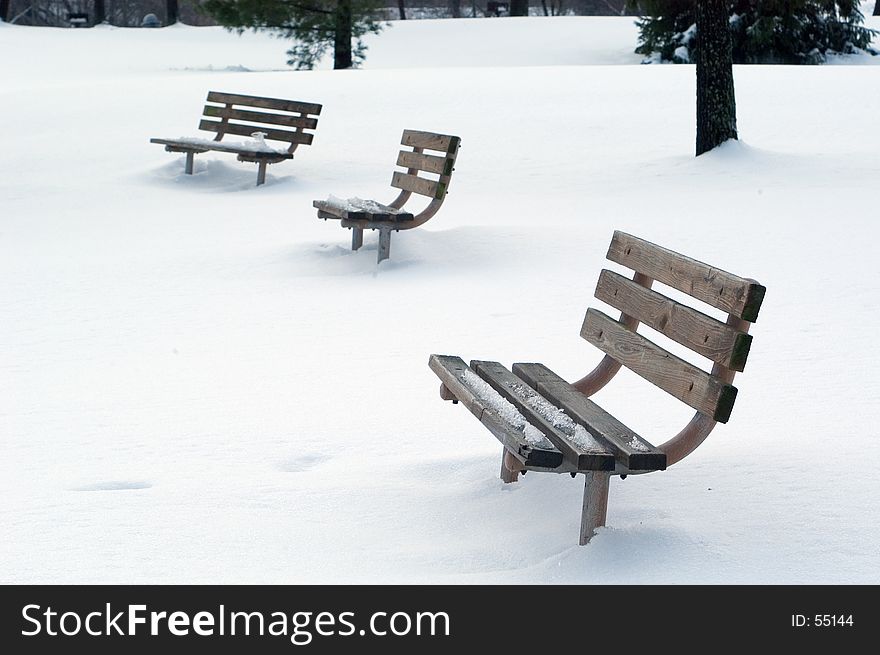 Benches In Snow