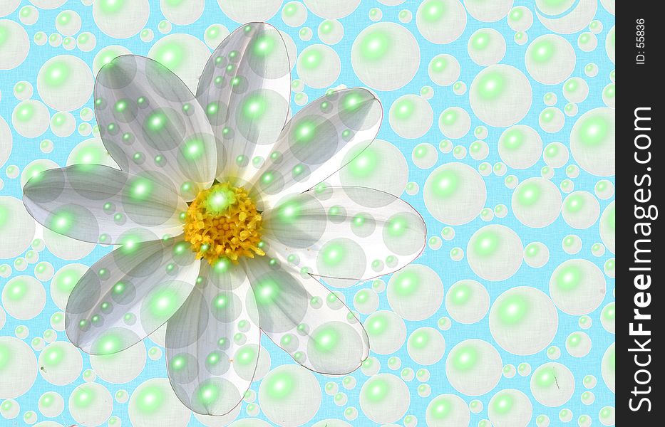 Flower floating in bubbles. Flower floating in bubbles