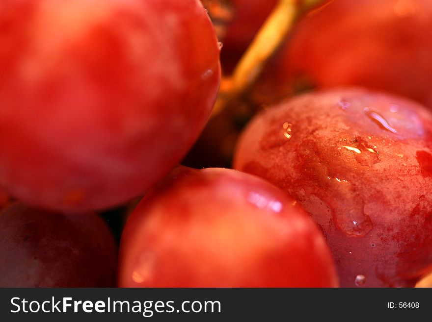 Macro image of red juicy grapes. Macro image of red juicy grapes