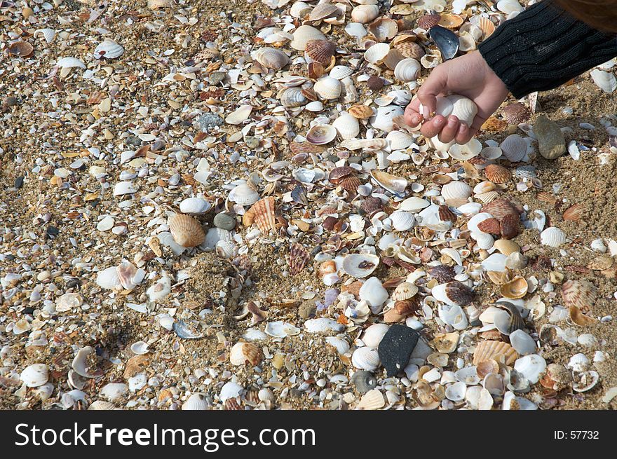 Hand collecting seashells