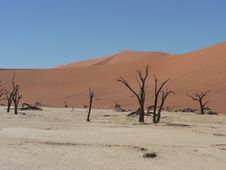Salt Pan In Namibia Stock Image