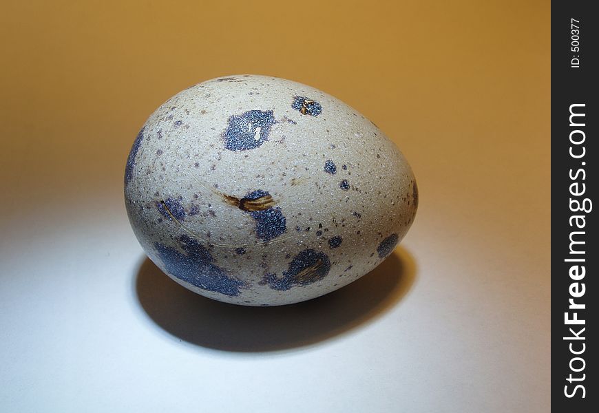 Close up of the quail's egg