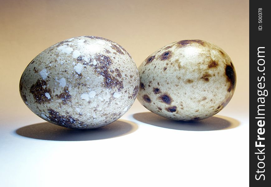 A group of two quail's eggs