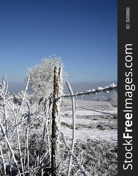 Pretty Wintry Landscape with snow frosted fence. Pretty Wintry Landscape with snow frosted fence