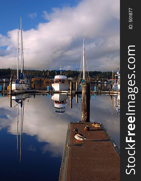 Boats in the harbor