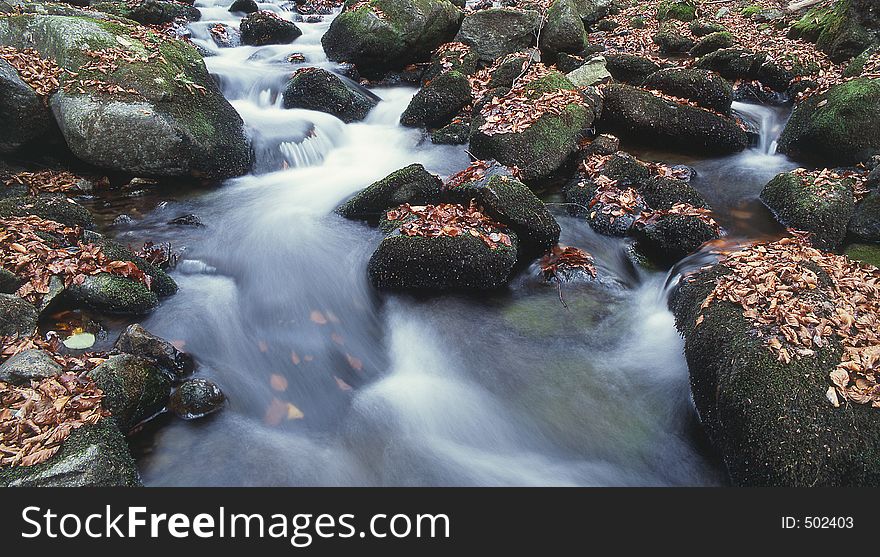 Autumn creek