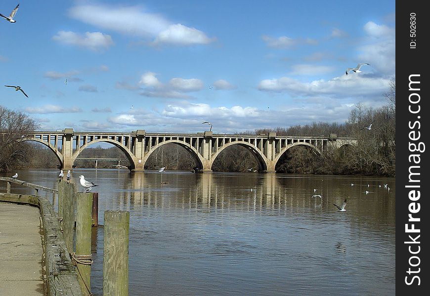 Seagulls in flight over this beautiful winter river scene. Seagulls in flight over this beautiful winter river scene.