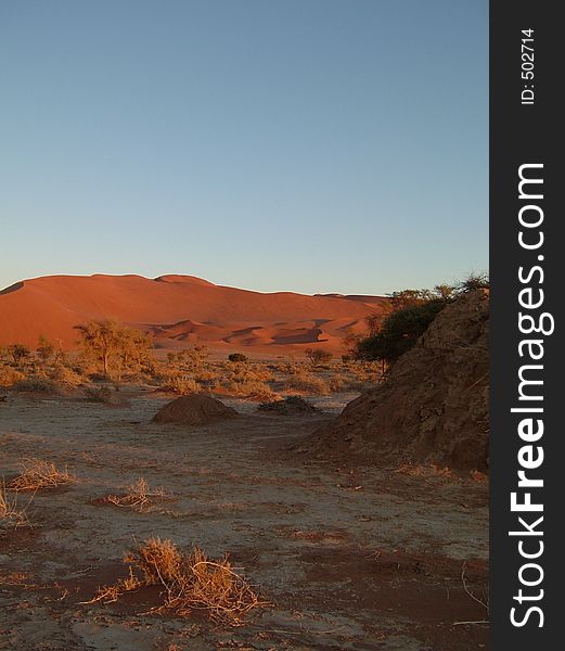 Dune Namib 02