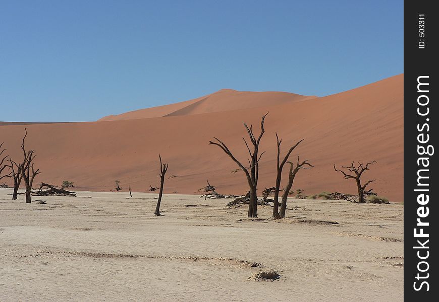 Salt Pan In Namibia