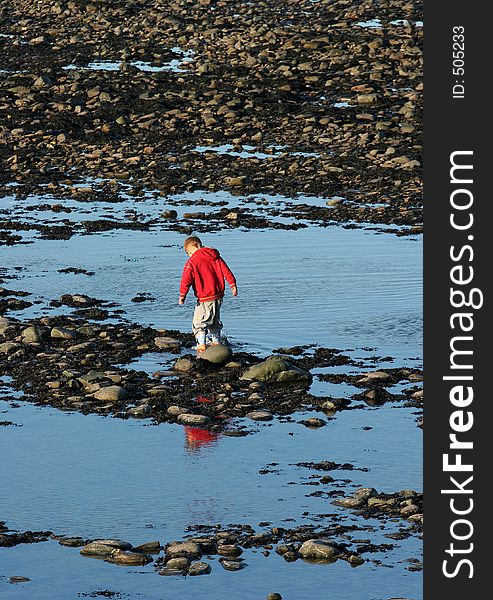 Little boy playing alone in a rock pool on a beach of pebbles, pools and seaweed.