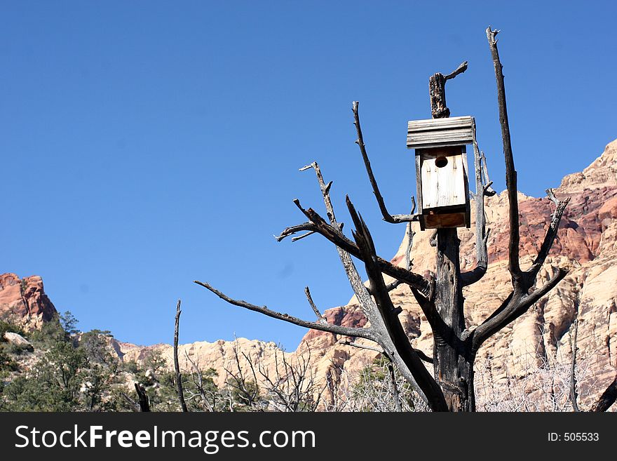 Desert Birdhouse