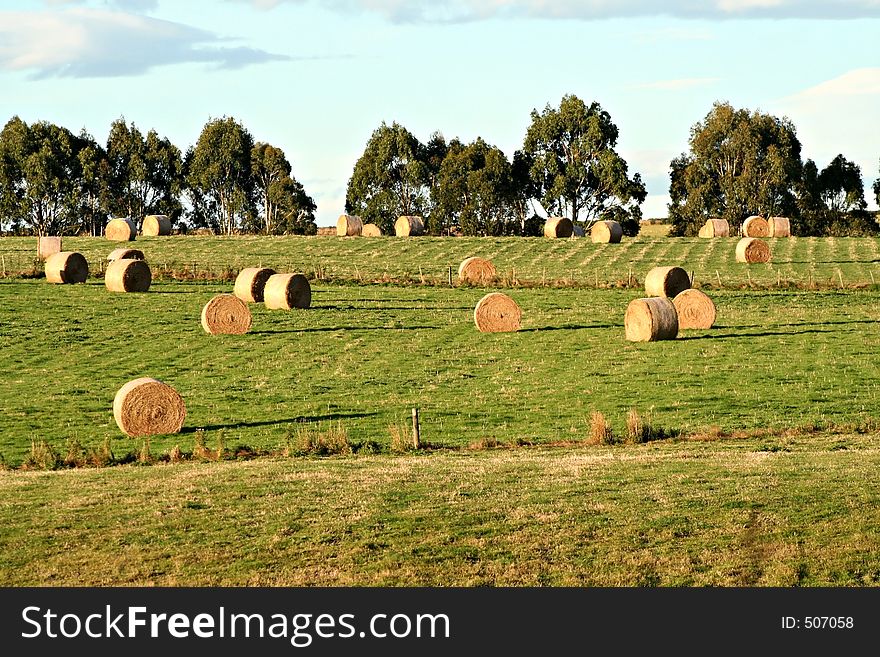 Harvest