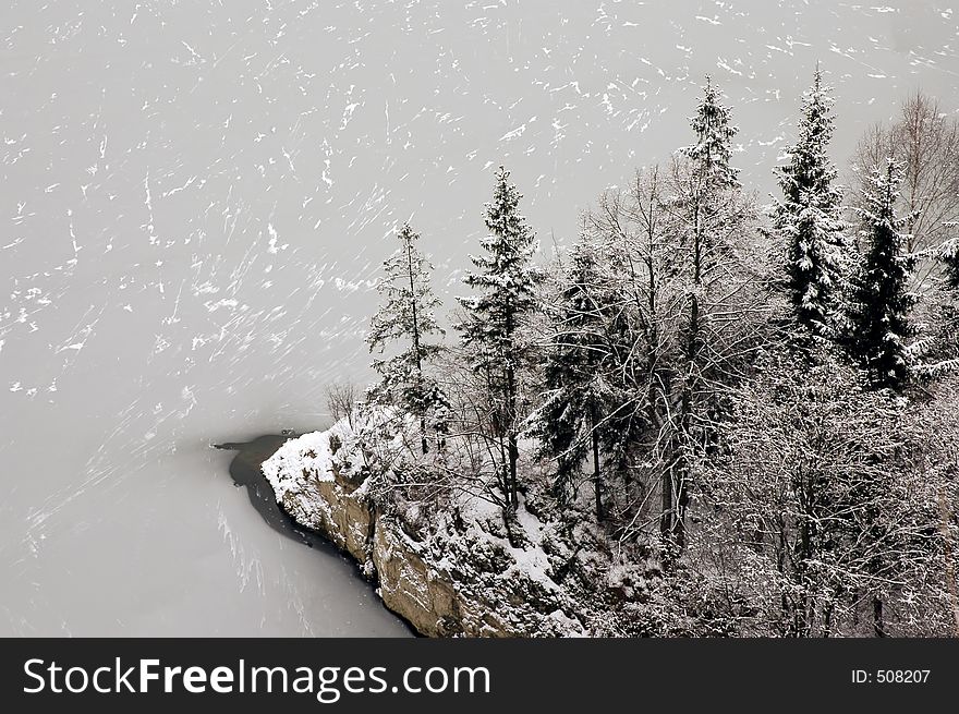 Trees over lake in winter