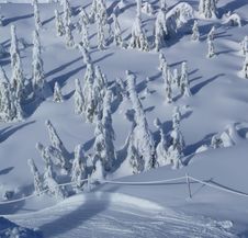 Ski Slope With Fresh Tracks Stock Photo