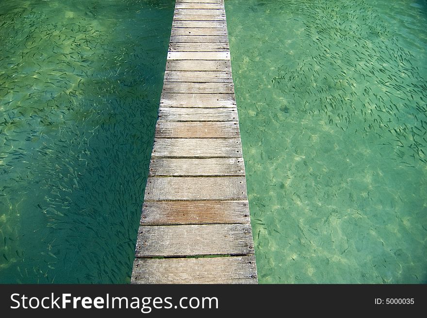 Wooden bridge on sea, with grouds of fish on both side