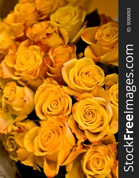 Flower background with yellow roses