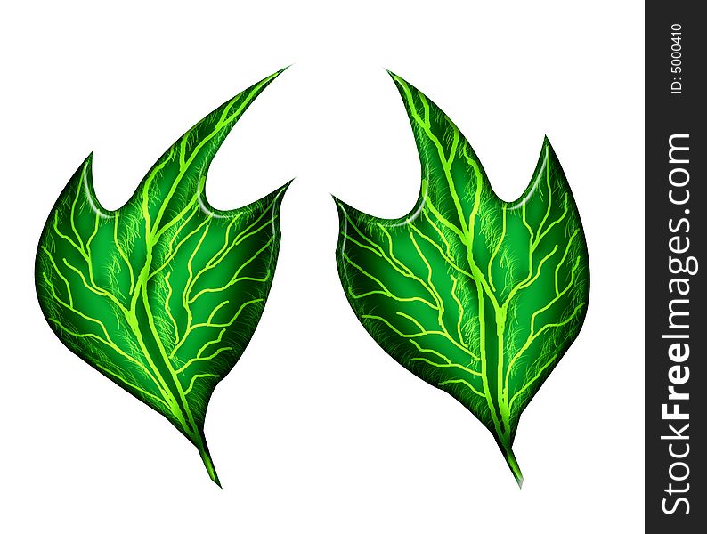 Two green leafs designed by photoshop with isolate background