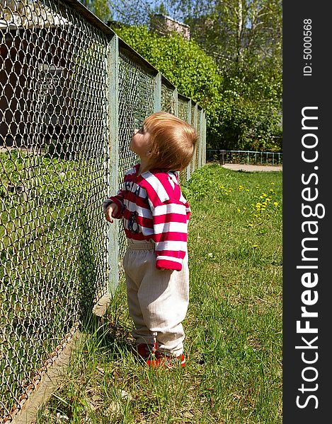 The little girl costs on a grass near a fence
