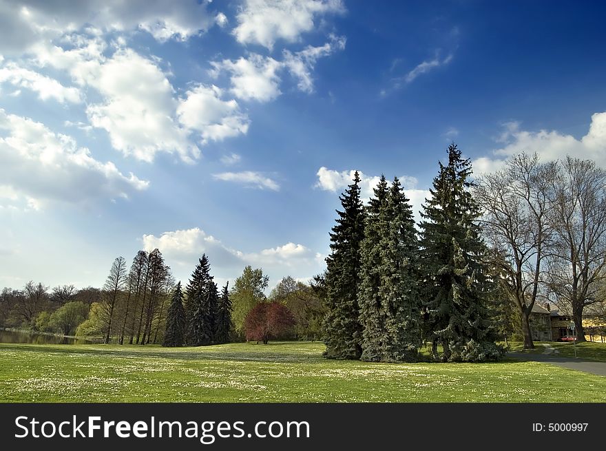 Spring landscape with meadow and trees