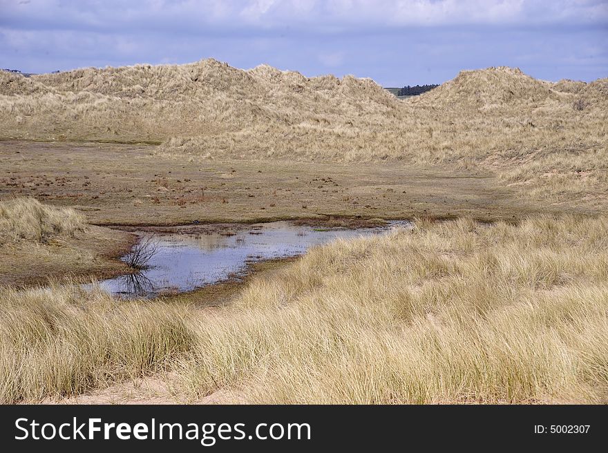 Area of sand dunes that is Marshy. Area of sand dunes that is Marshy