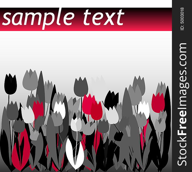 Black and red vector tulip field and sample text. Black and red vector tulip field and sample text