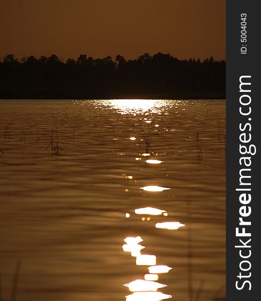 Lake Sunset water sepia trees silhouette
