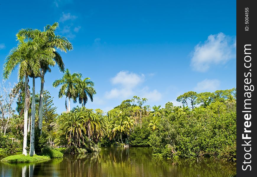 Lush, tropical forest and lake under a bright blue sky. Lush, tropical forest and lake under a bright blue sky.