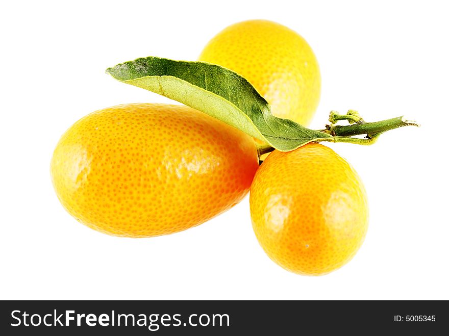 Tree ripe kumquats over white background