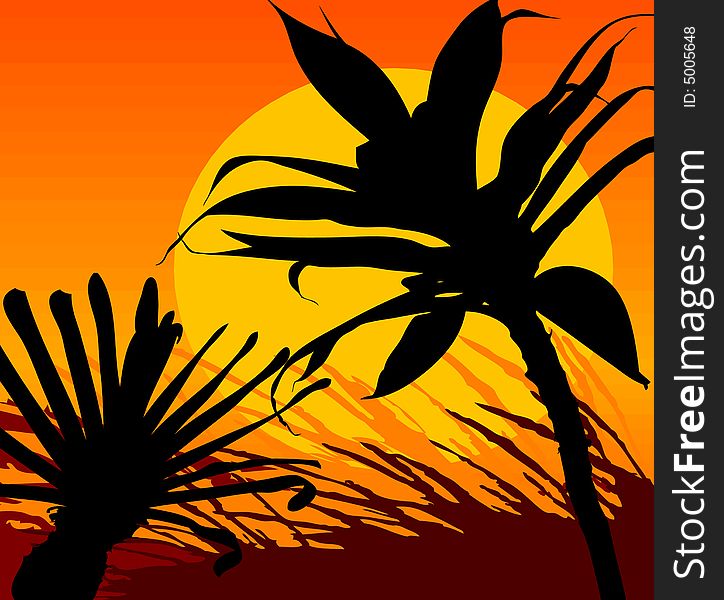 Tropical Sunset