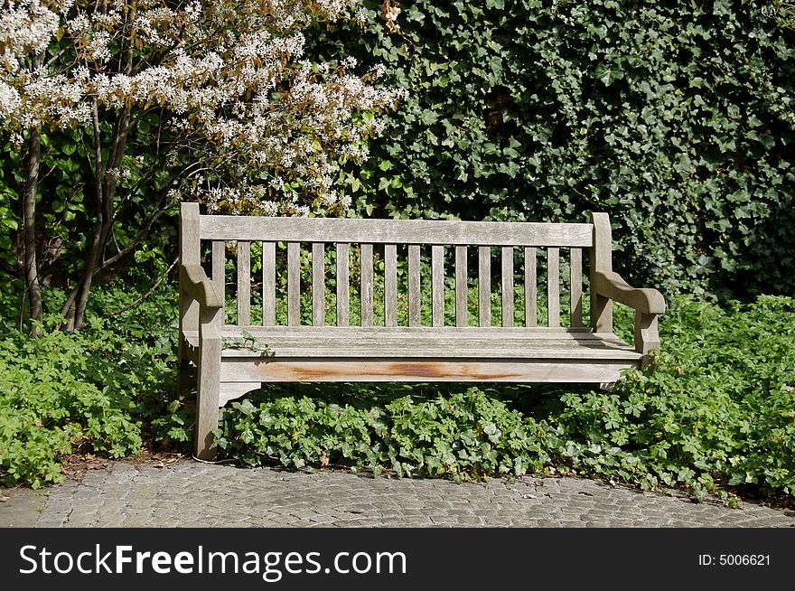 Bench In Spring Time