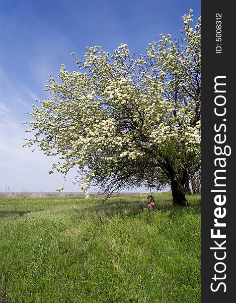 A young woman sitting in the shade of a flowering cherry tree. A young woman sitting in the shade of a flowering cherry tree