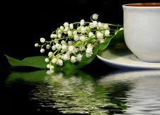 Flowers And Cup Of Coffee Flowers And Cup Of Coffee