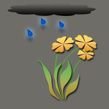 Rainy Garden Stock Photography Rainy Garden Stock Photography