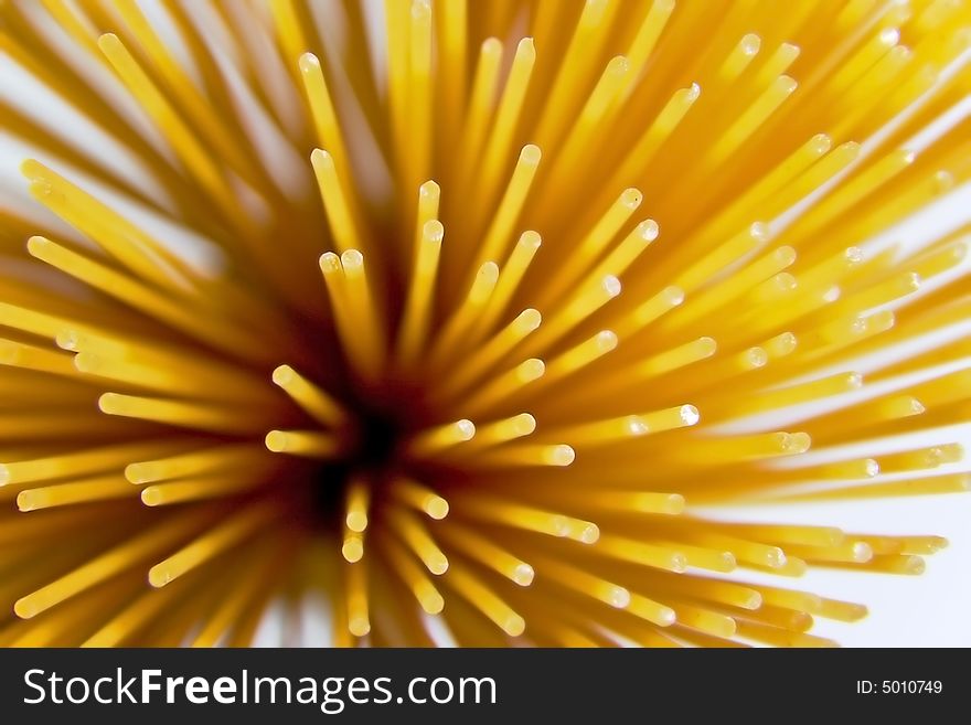 Close-up of pastes spaghetti. Close-up of pastes spaghetti