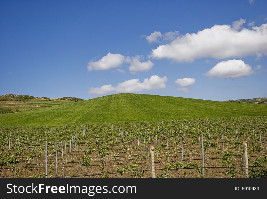 Nature landscape with sky and grass