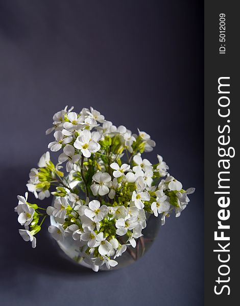 Bouquet of white Flowers in a vase