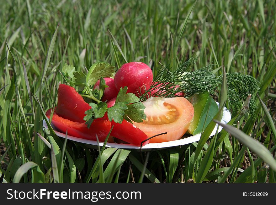 Dish from vegetables on a green lawn in a sunny day