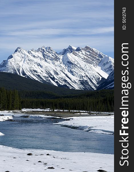 Shot by the Athabasca River in Jasper National Park, Canada. Shot by the Athabasca River in Jasper National Park, Canada