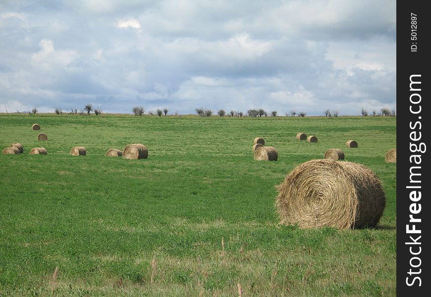 Bales Of Hay In A Field