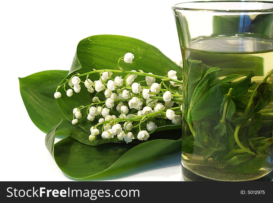 Bouquet Of Lilies Of The Valley And Tea