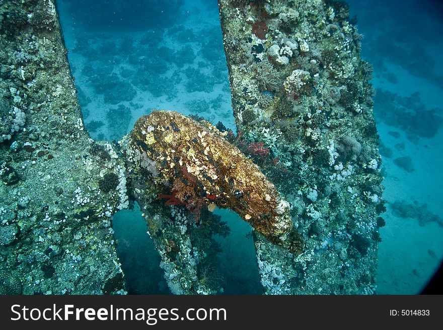 Dunraven wreck taken in the strait of gubal.