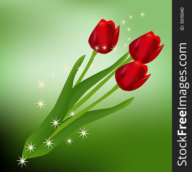 Three red tulips on green background. Three red tulips on green background