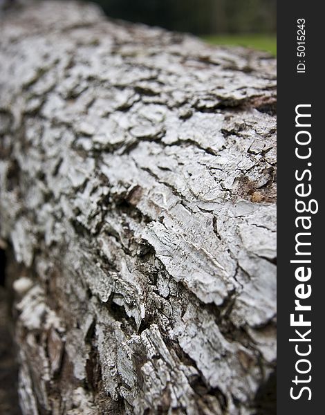 Vertical close-up image of bark peeling off a log. Vertical close-up image of bark peeling off a log
