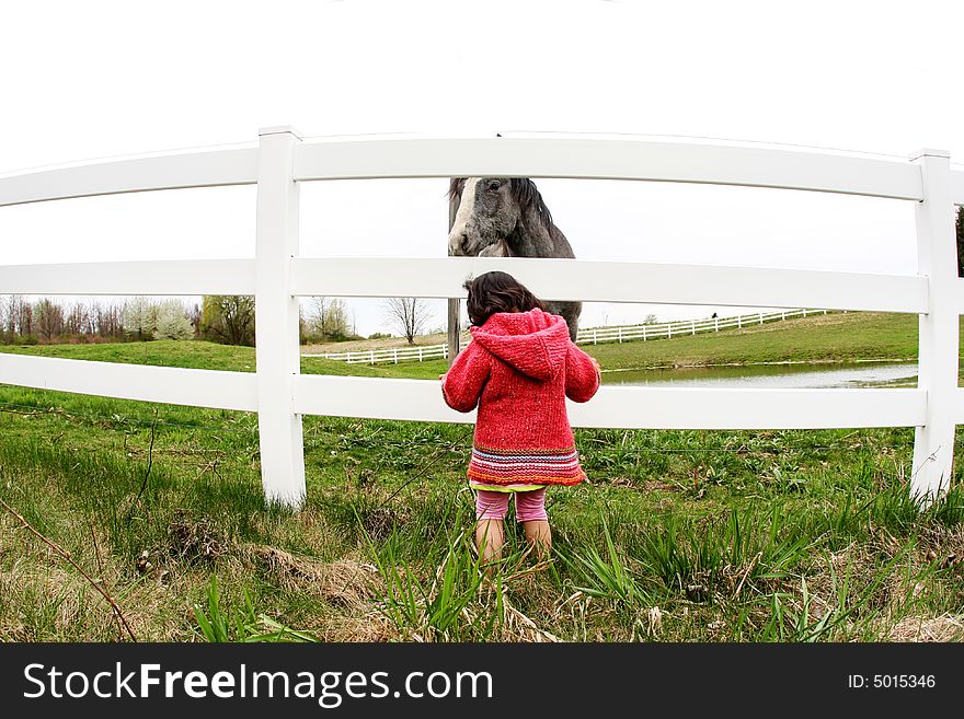 Child and horse staring at at eachother's eyes. Child and horse staring at at eachother's eyes