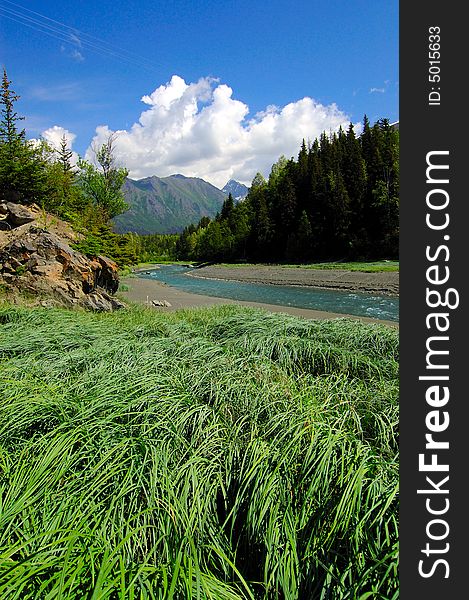 River, Meadow, Trees And Mountains, Alaska