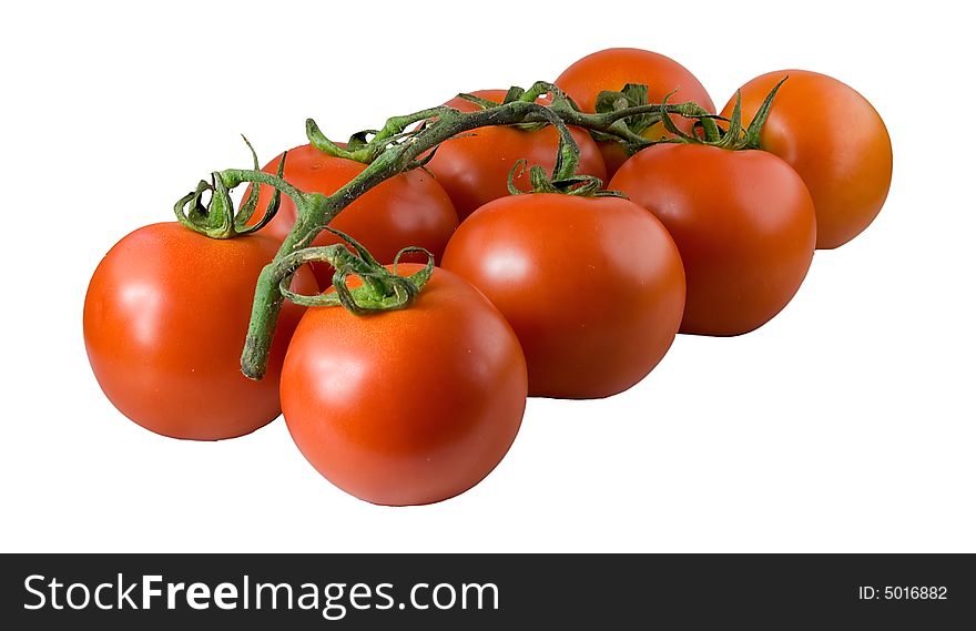 Isolated branch with red tasty tomates. Isolated branch with red tasty tomates