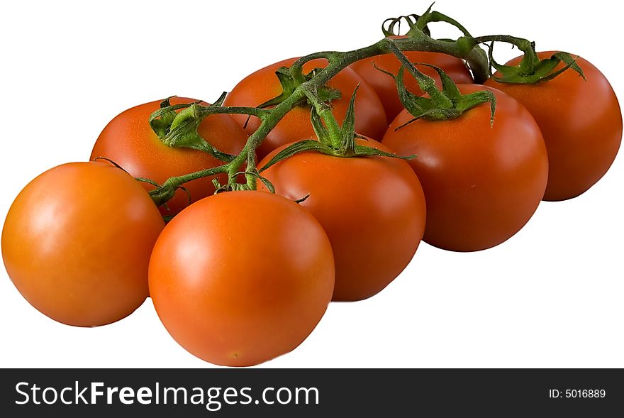 Isolated branch with red tasty tomates. Isolated branch with red tasty tomates